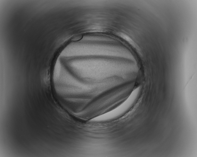 X0000089671450200707201629