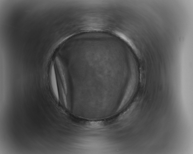 X0000089671453200707201629