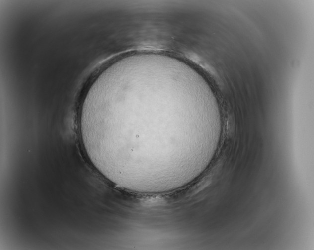 X0000089671454200707201629