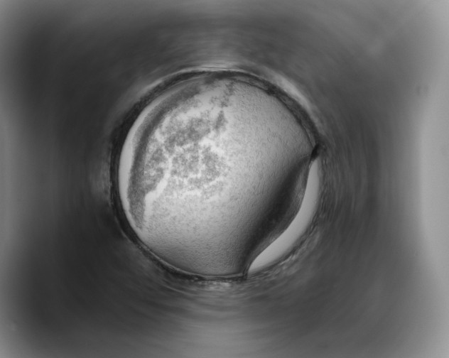 X0000089671456200707201629