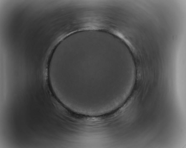 X0000089671459200707201629