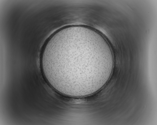 X0000089671460200707201629