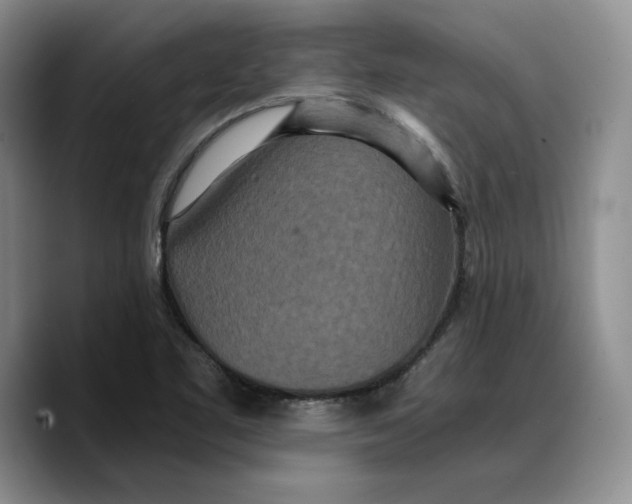 X0000089671461200707201629