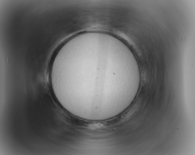 X0000089671462200707201629