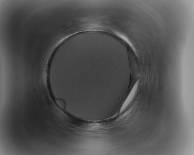 X0000089671463200707201629