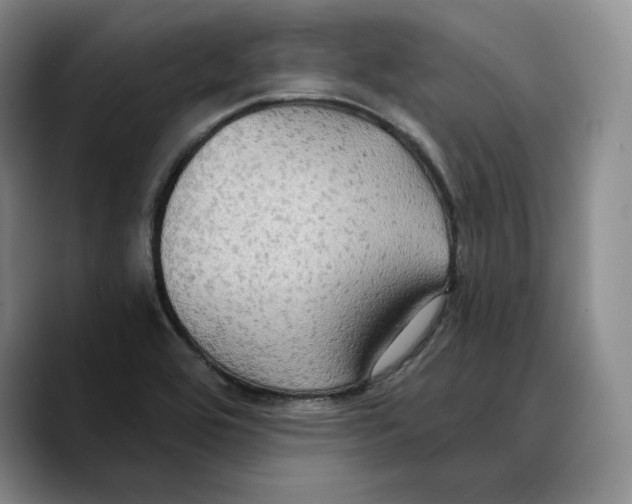 X0000089671464200707201629