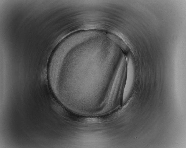 X0000089671465200707201629