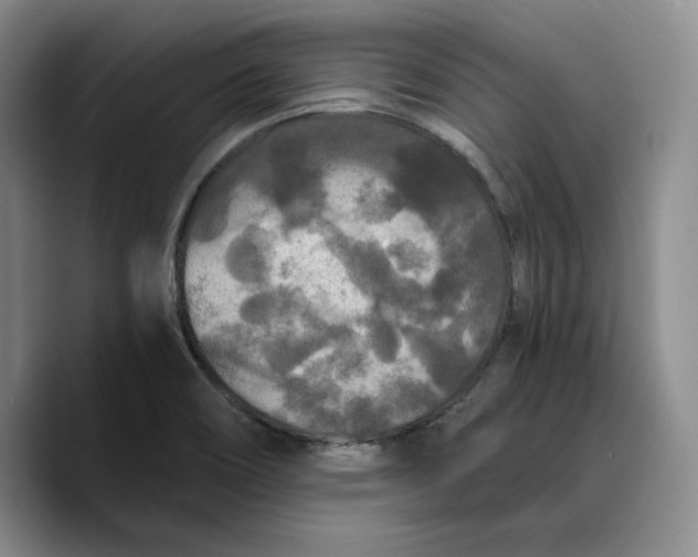 X0000089671466200707201629