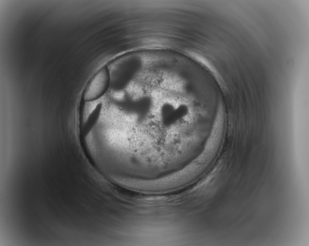 X0000089671467200707201629