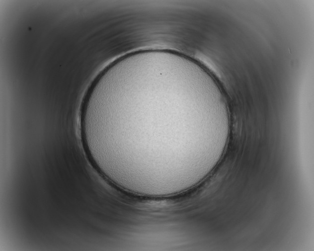 X0000089671468200707201629