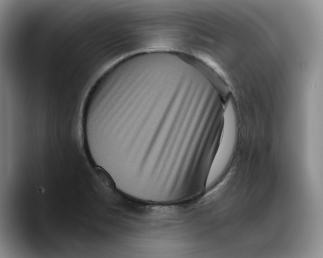 X0000089671469200707201629