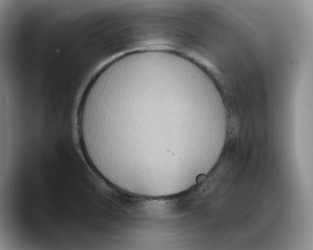 X0000089671470200707201629