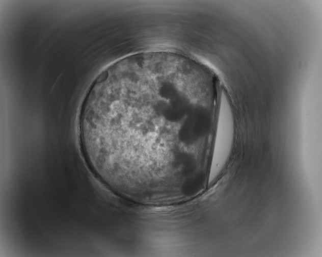 X0000089671471200707201629