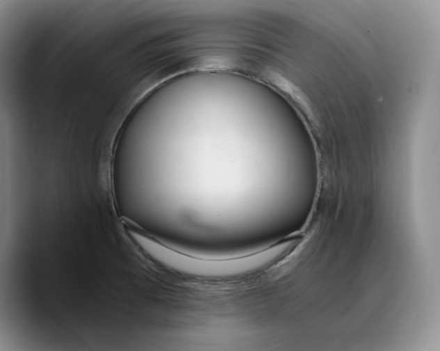 X0000089671473200707201629