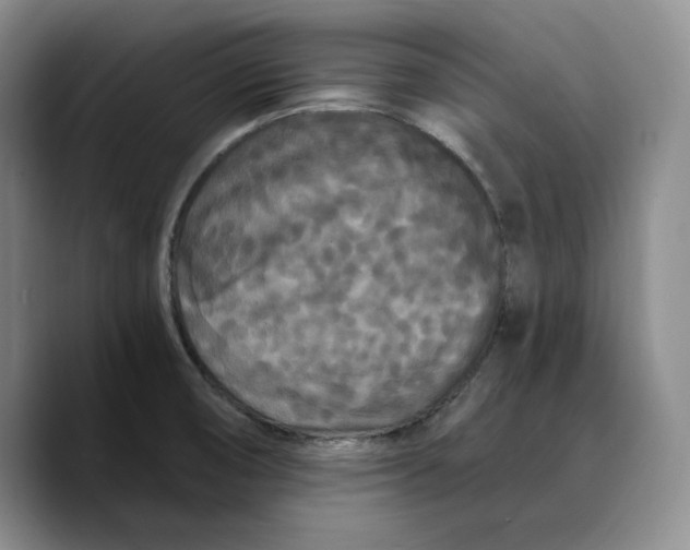 X0000089671474200707201629