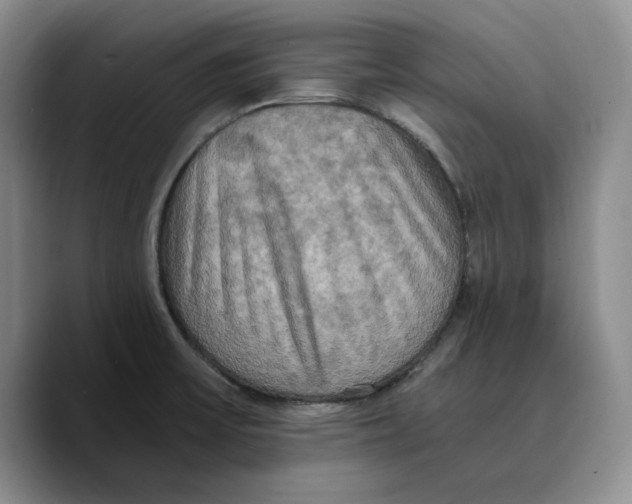 X0000089671475200707201629