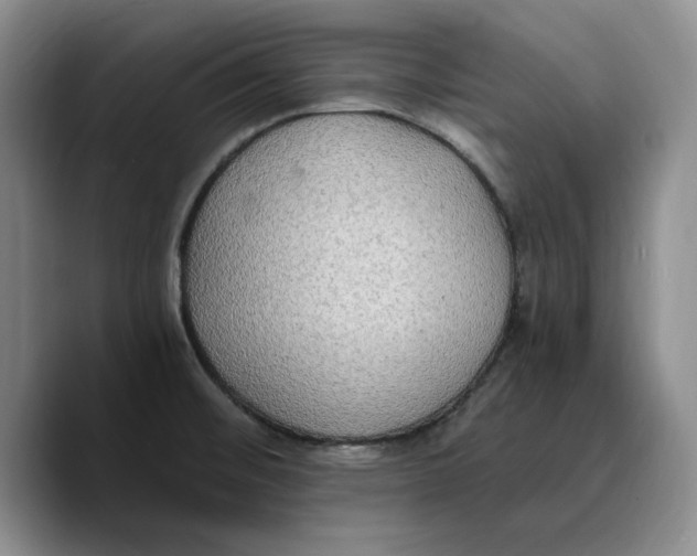 X0000089671476200707201629