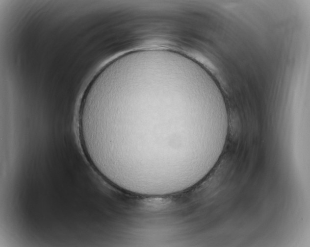 X0000089671478200707201629