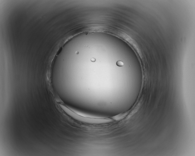 X0000089671481200707201629