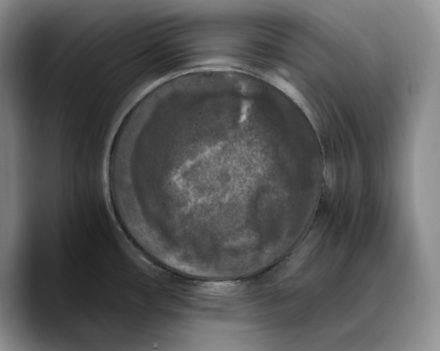 X0000089671482200707201629