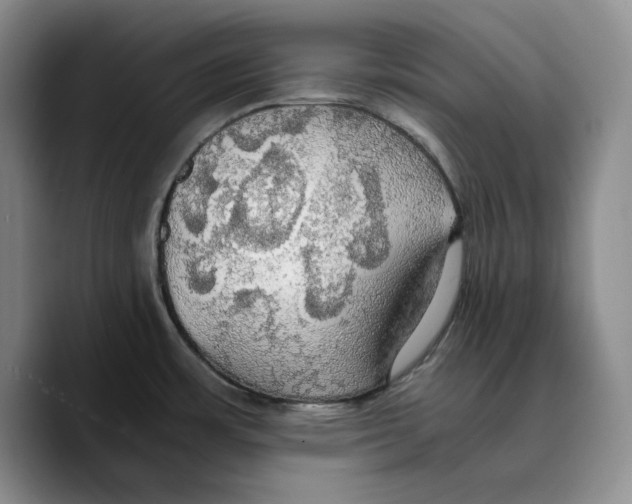 X0000089671483200707201629