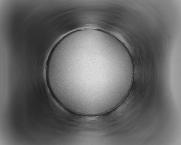 X0000089671484200707201629