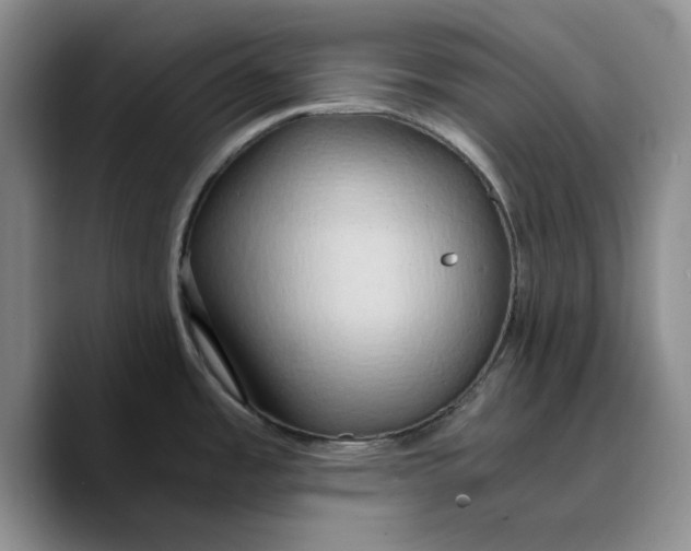 X0000089671485200707201629