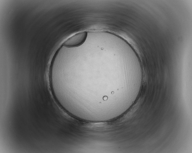 X0000089671486200707201629