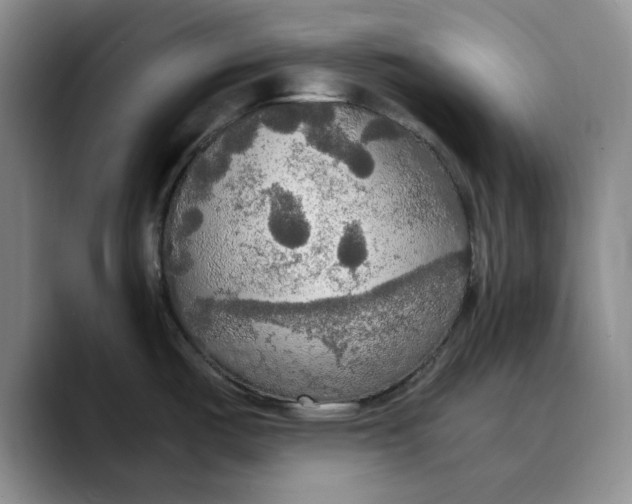 X0000089671487200707201629