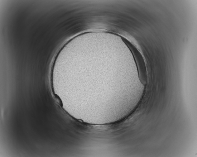 X0000089671488200707201629