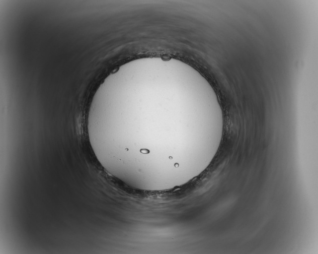 X0000089671490200707201628