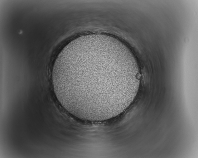 X0000089671494200707201628