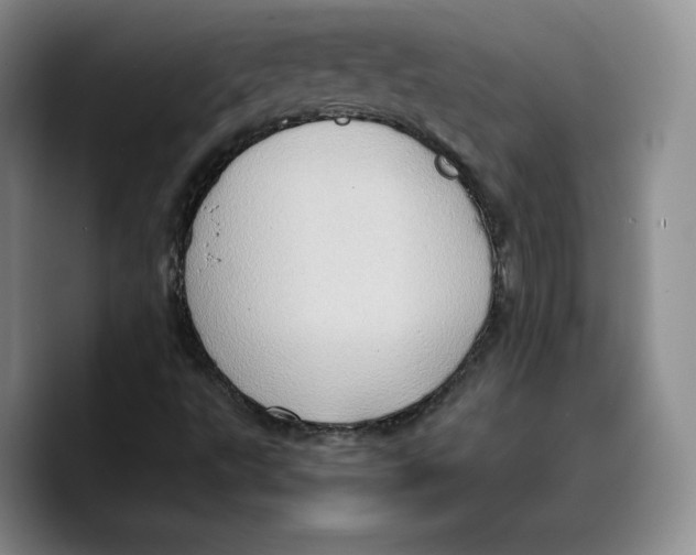 X0000089671495200707201628