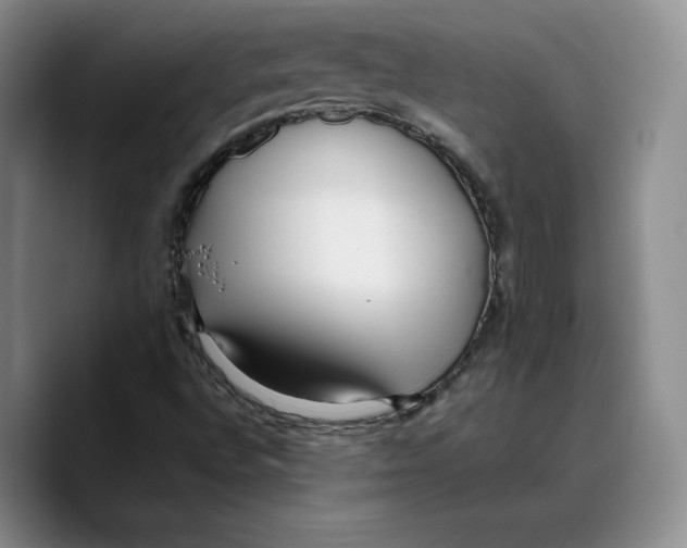 X0000089671496200707201628