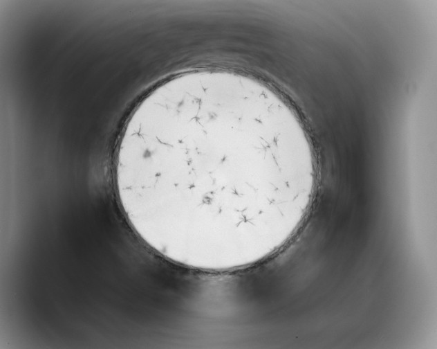 X0000089671498200707201628