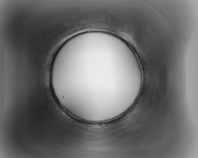 X0000089671504200707201628