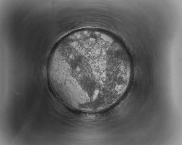 X0000089671505200707201628