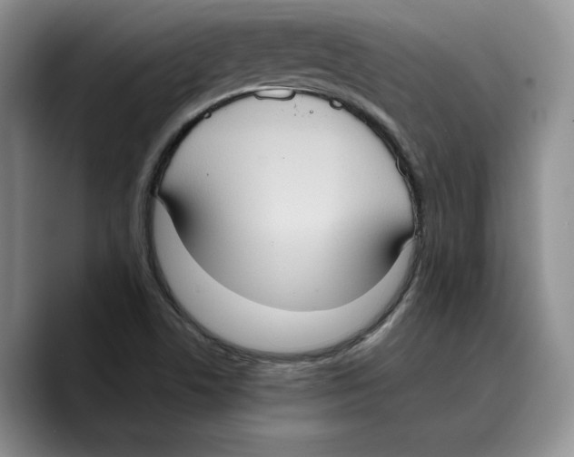 X0000089671506200707201628