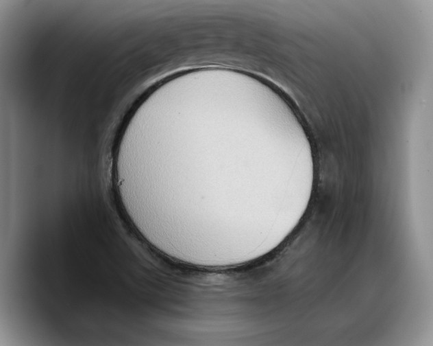 X0000089671507200707201628