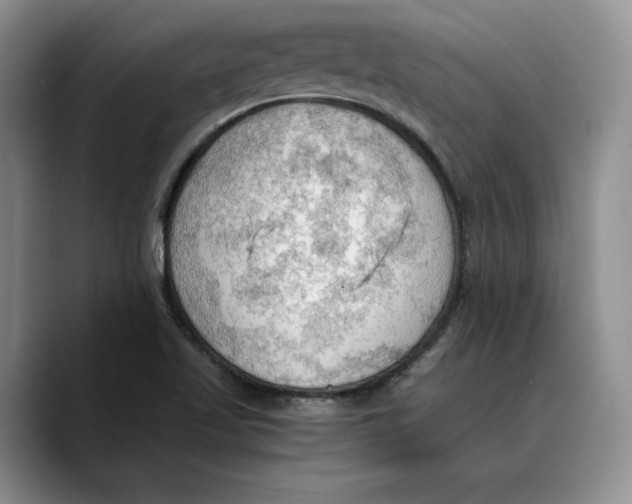 X0000089671509200707201628