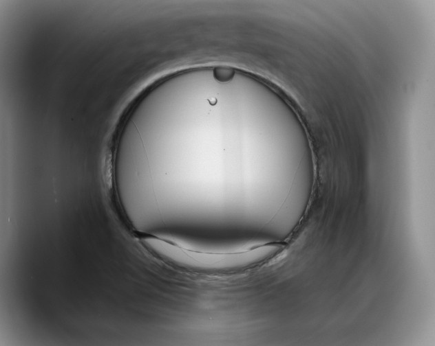 X0000089671510200707201628