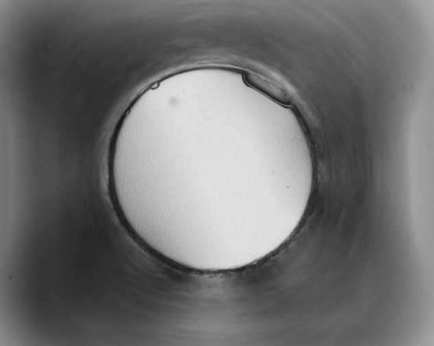 X0000089671512200707201628