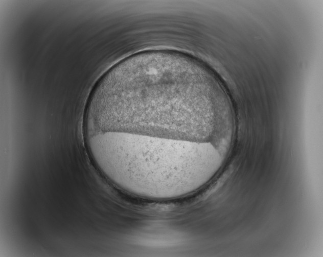 X0000089671513200707201628