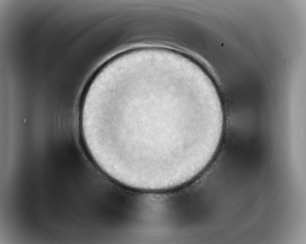 X0000089671514200707201628