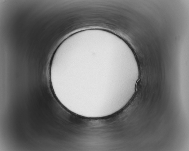 X0000089671516200707201628