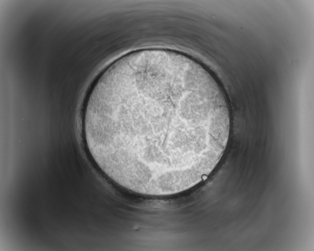 X0000089671517200707201628