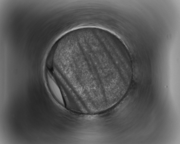 X0000089671519200707201628