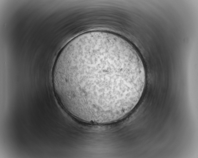 X0000089671521200707201628