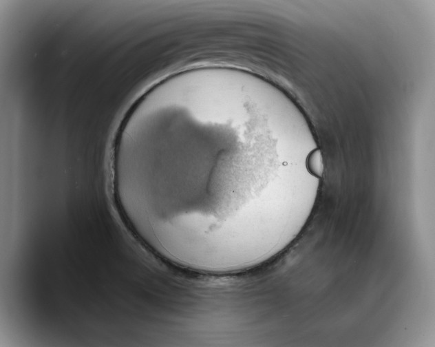 X0000089671522200707201628