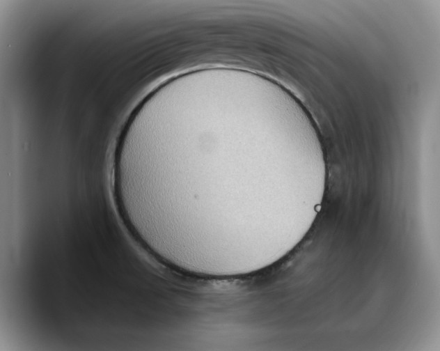 X0000089671523200707201628